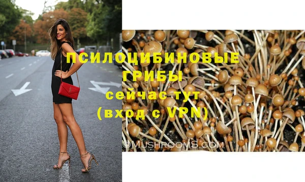PSILOCYBIN Аркадак