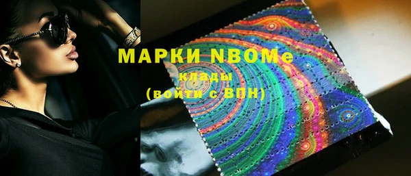 PSILOCYBIN Аркадак
