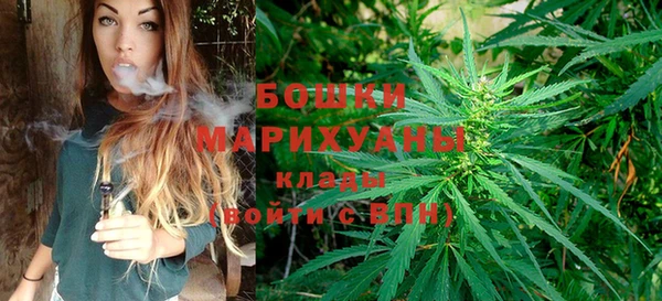 PSILOCYBIN Аркадак
