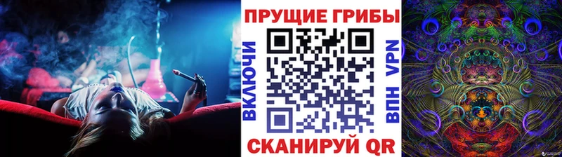 Псилоцибиновые грибы GOLDEN TEACHER  Усть-Джегута 