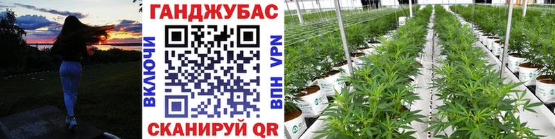 hydra как зайти  купить наркотик  Усть-Джегута  дарк нет клад  Бошки Шишки план 